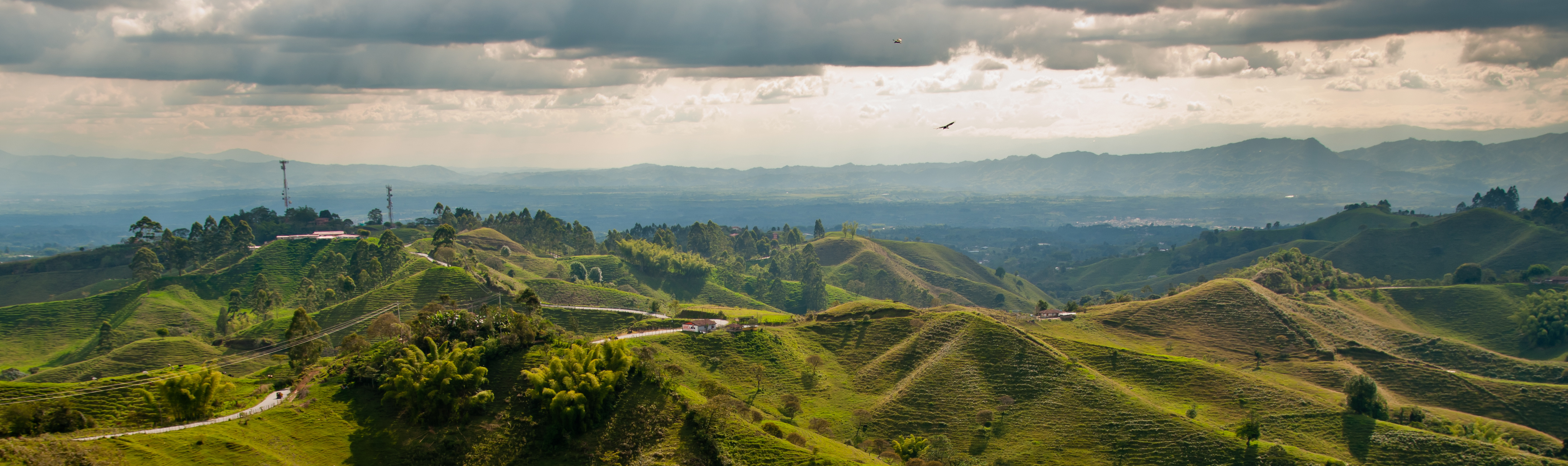 Coffee, Cacao & the Pulse of Colombia , image 2